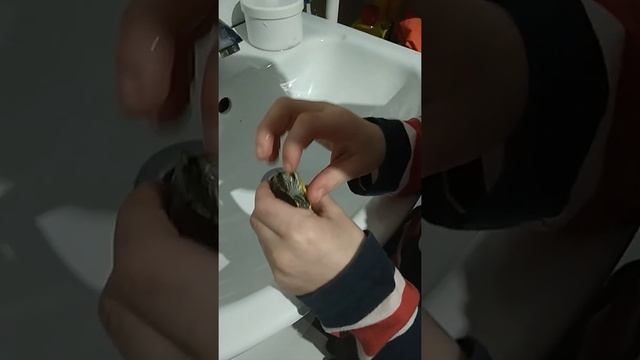 Укус красноухой черепахи смотреть онлайн