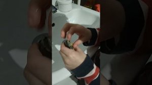 Укус красноухой черепахи