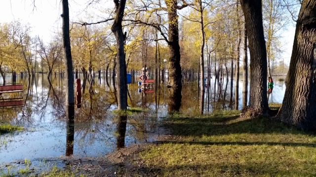 Река Ипуть. Город Добруш.Серия "Города Беларуси".Река Ипуть.Dobrush.Series "Cities of Belarus".Iput смотреть онлайн