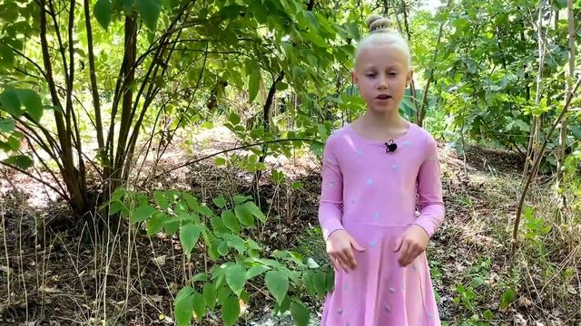 Лесные пожары ? | Как начинается пожар? | ТОП фактов о пожаре с Nonna Blond смотреть онлайн