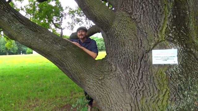 Мои путешествия. Штуттгарт. Stuttgart. Baden-Württemberg. Germany смотреть онлайн