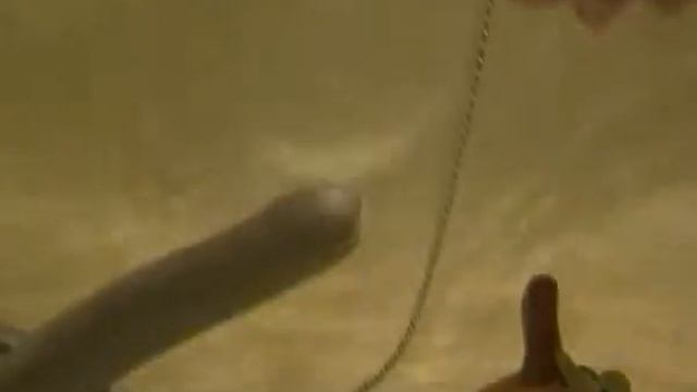 Бокс для видеокамеры смотреть онлайн