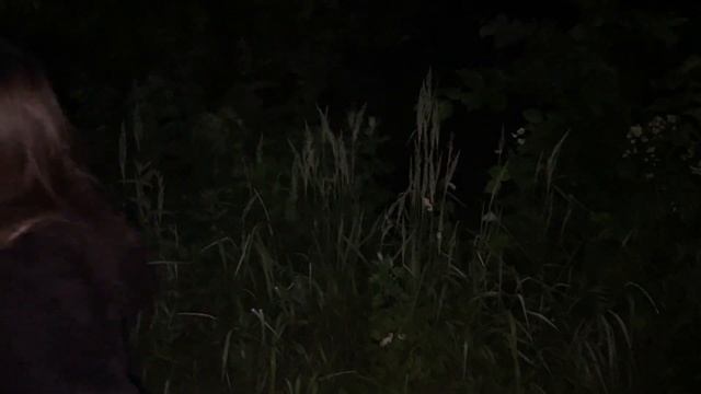 Кто Такие ЧЕПЫШИ и Другие Лесные КРИПТИДЫ смотреть онлайн