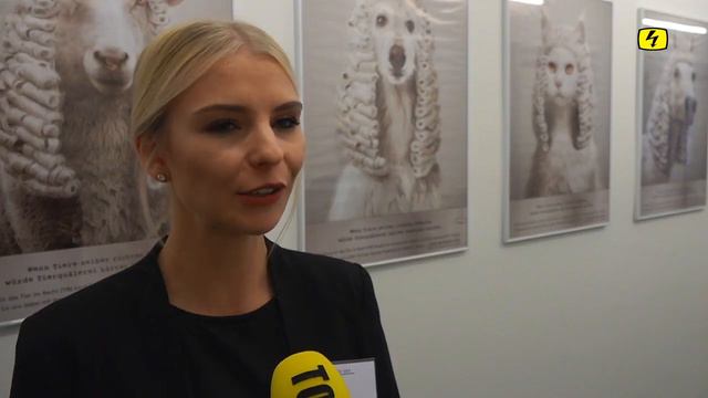 Top News vom 14.11.2019 mit Bianca Körner und Nora Flückiger смотреть онлайн