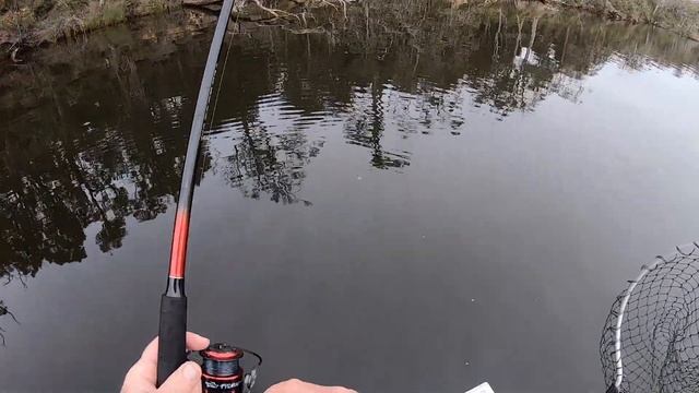 Blackwood Black Bream fishing competition 2022 Day two смотреть онлайн