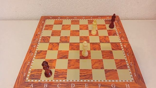 ТАНГО БЕЛОГО ФЕРЗЯ ОТ ТРОИЦКОГО! #chess #шахматы #шахматыдлявсех смотреть онлайн