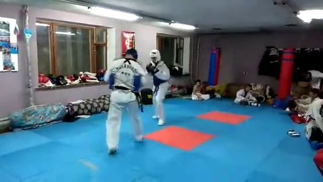 Евпатория тхэквондо