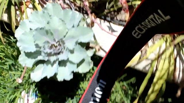 Осторожно с грибами с Испании! смотреть онлайн