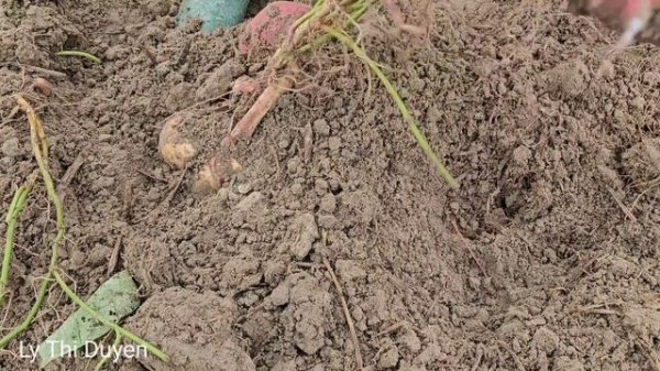 New Year: 19-year-old single mother desperately searches for her child. Should I call the police?