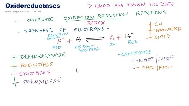 Oxidoreductases: Enzyme class 1: sub classes with examples: IUB classification смотреть онлайн