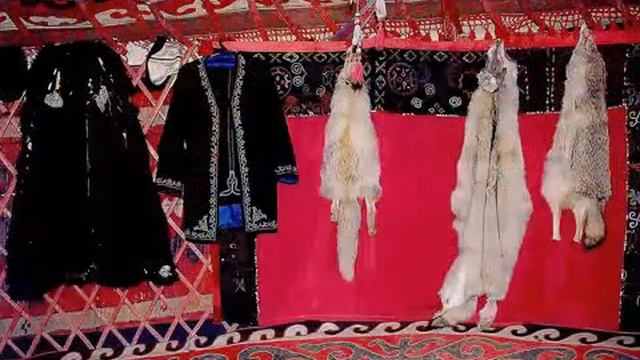 🇰🇬 KYRGYZ Melody Ak bugu! смотреть онлайн