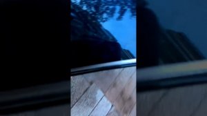 Званим на номер 1000