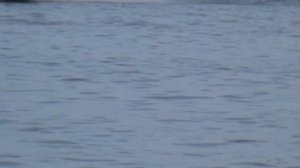 Как можно прекрасно отдыхать на дешёвой китайской лодке с электромотором. Boat  electric motor.