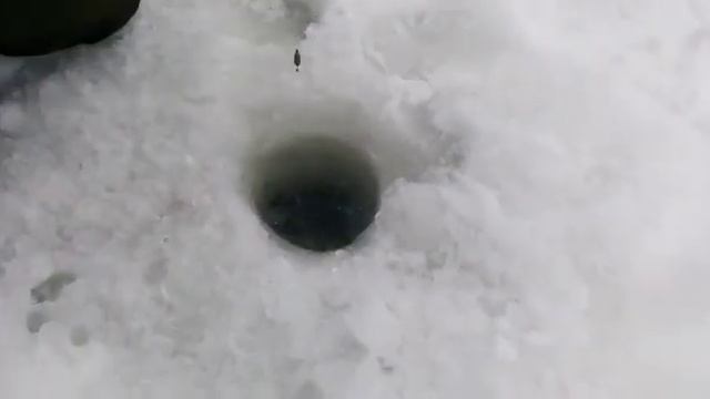 Светлые Горы Форель 2. 26.02.2023 смотреть онлайн