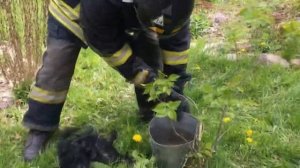 Пожарные откачивают животных _ СПАСЕНИЕ ЖИВОТНЫХ _ Важна каждая жизнь _ ТОП 10