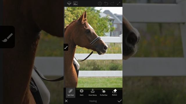 How to remove objects in Photoshop Fix for mobile смотреть онлайн