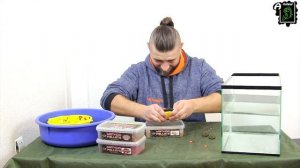 Как не испортить пелетс на рыбалке с флет метод фидер ?