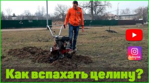 Как вспахать целину? Часть 2.  Большой тест драйв, мототяпка, культиватор, мотоблок.