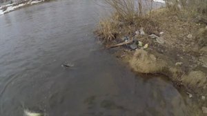 Новинка 2020! Обзор спиннинга Zetrix Flair FLS-732UL-T