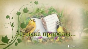 Музыка природы  *