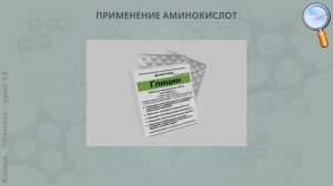 Химия 10 класс (Урок№12 - Аминокислоты. Белки.)