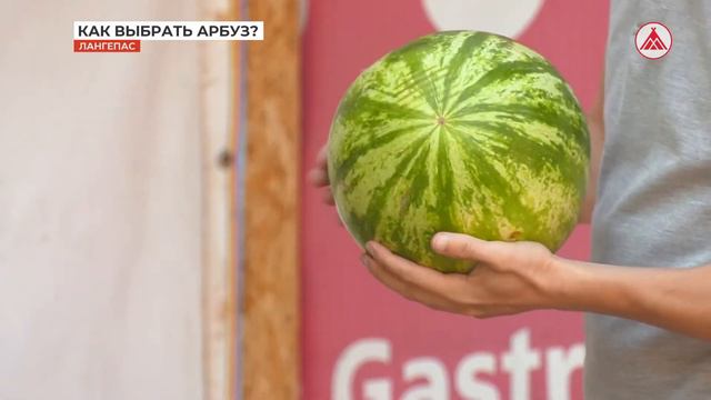 Лето - пора вкусных ягод. Как и где правильно купить арбуз? смотреть онлайн