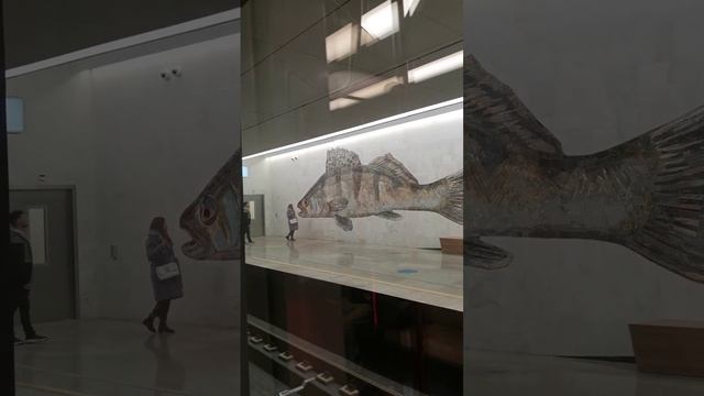 рыба и туристы) БКЛ Нагатинский затон смотреть онлайн