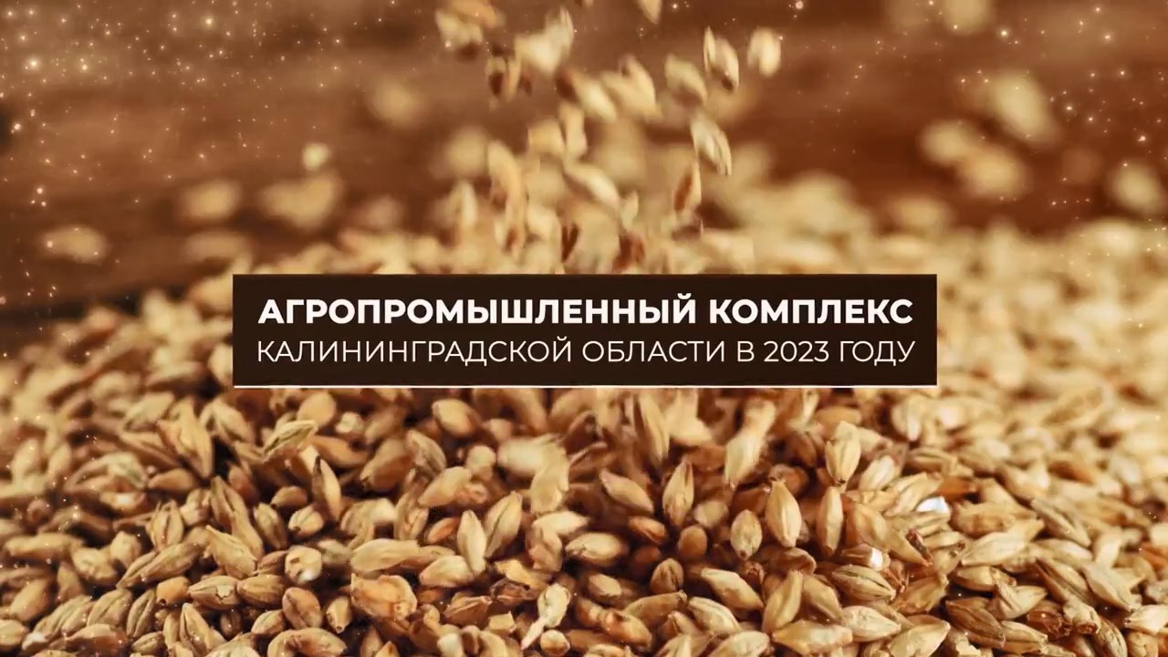 Агропромышленный комплекс Калининградской области в 2023 году смотреть онлайн