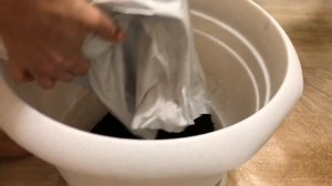 СТЕФАНОТИС КАК ПЕРЕСАДИТЬ, УХОД | Стефанотис уход в домашних условиях видео