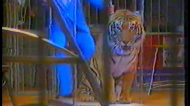 Massimiliano Nones Clown D'Oro Al XII° Festival Di Montecarlo Nel 1987