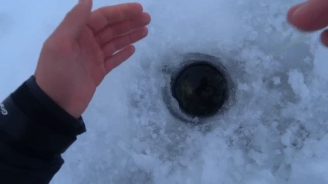 ОСОБО ВПЕЧАТЛИТЕЛЬНЫМ РЫБАКАМ НЕ СМОТРЕТЬ! Мясо на ГРИЛЕ и МНОГО РЫБЫ! Рыбалка с НОЧЕВКОЙ на СУДАКА смотреть онлайн