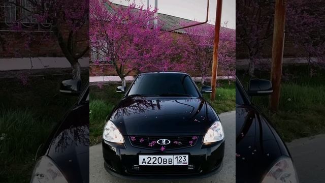 Эльбрус - БРОДЯГА (Screwed) смотреть онлайн