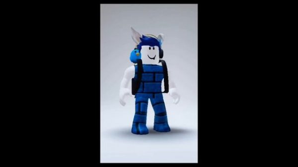 Shirts... And pants. pants pants pants. But its 2021 Roblox