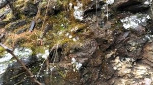 За минералами Северного Урала