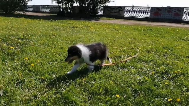 Глен Дю Солей Винтаж и Глен Дю Солей Вояж, 2 мес смотреть онлайн