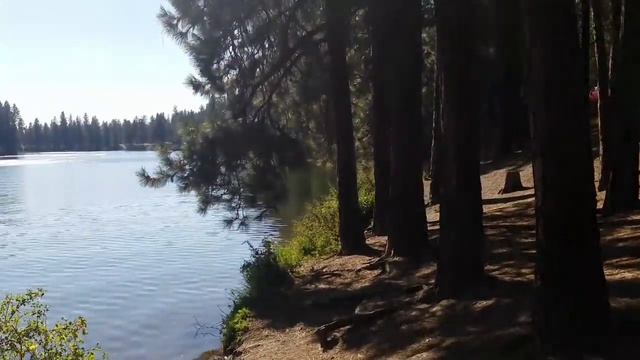 ВСЁ ТОЛЬКО НАЧИНАЕТСЯ💃 ВОССОЕДИНЕНИЕ с ПРИРОДОЙ🦆🐕 смотреть онлайн