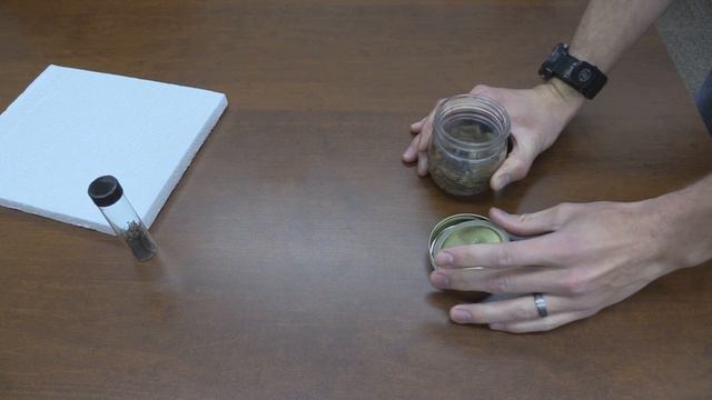 How to Relax and Pin Dehydrated Insects смотреть онлайн