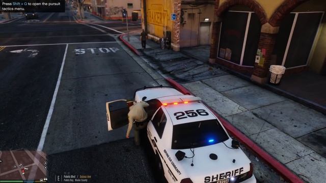 Police SmartRadio Feature Showcase | Paleto Bay Sheriff Patrol | GTA5 LSPDFR Police Mod |Cops смотреть онлайн