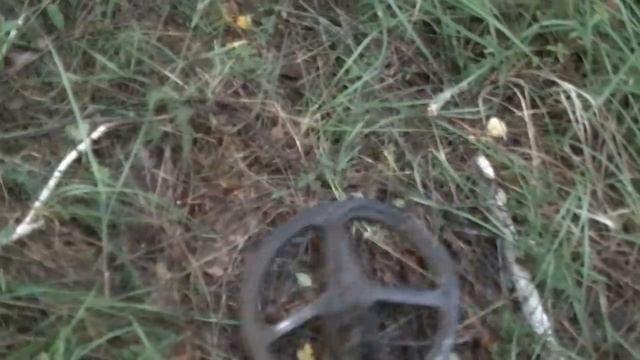 ЧТО ТВОРИТСЯ, ТАКОЕ ВАМ НЕ ПОКАЖУТ ПО ТЕЛЕВИЗОРУ Поиск с металлоискателем в лесу смотреть онлайн