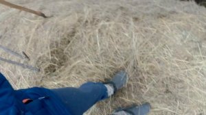 Сравнение сенорезка сечка  что и как