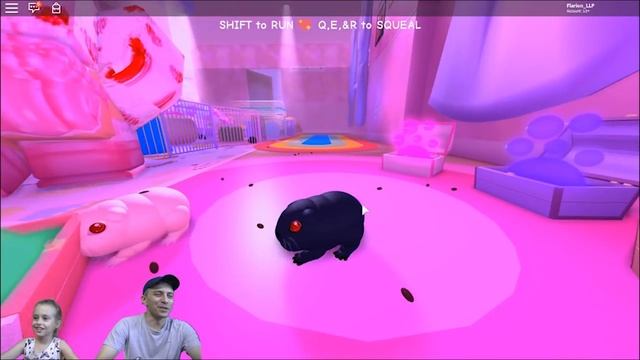 Симулятор Морской Свинки Роблокс | Simulator Guinea Pig Roblox. LLP-Тим