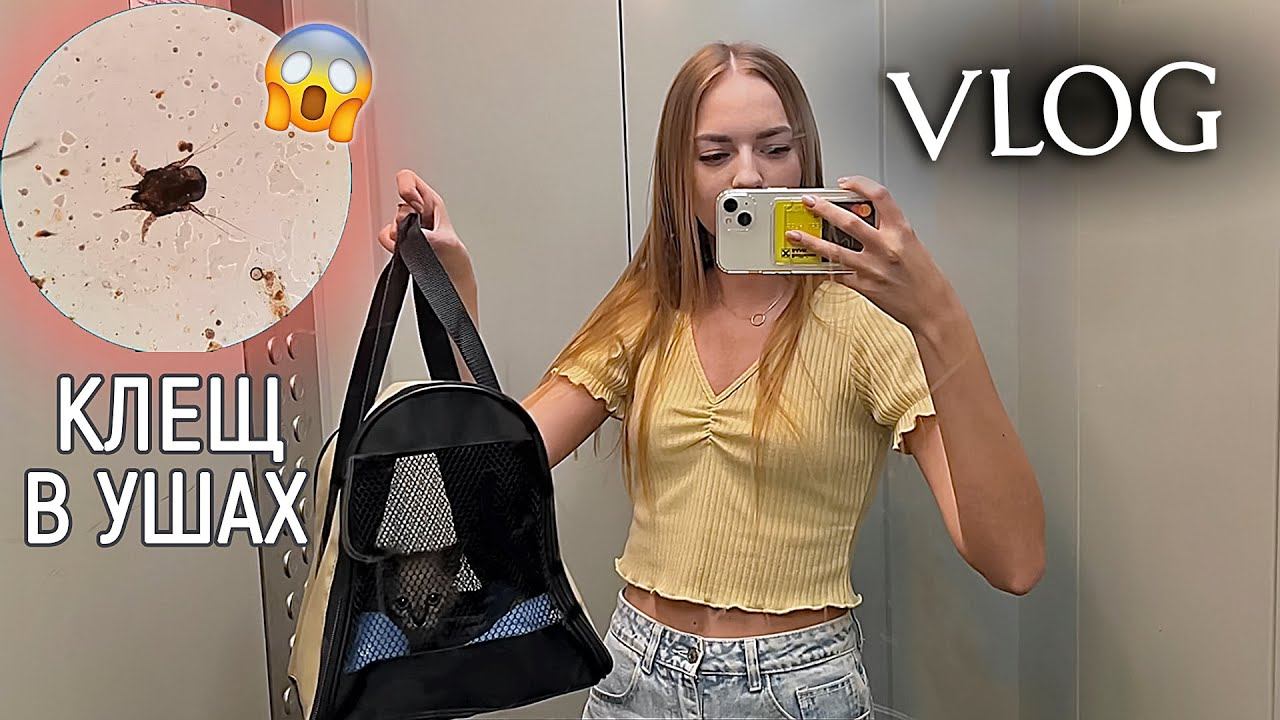 ВЛОГ: Первая ТРЕШ НОЧЬ с котей Чем закончился поход к ветеринару смотреть онлайн