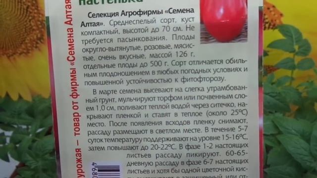 САМЫЕ НЕПРИХОТЛИВЫЕ И ВЫНОСЛИВЫЕ СИБИРСКИЕ ТОМАТЫ. НАСТЕНЬКА - ОБЗОР РАССАДЫ. смотреть онлайн