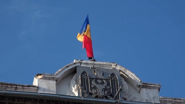 Через мусорку и стаю бездомных собак. Как некоторые малыши из Бельц добираются в детский сад