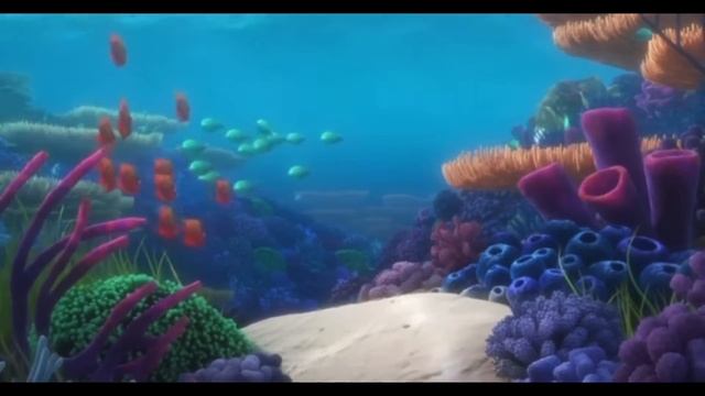 Dory’s Reef Cam Relaxing Ambiance (1 HOUR) смотреть онлайн