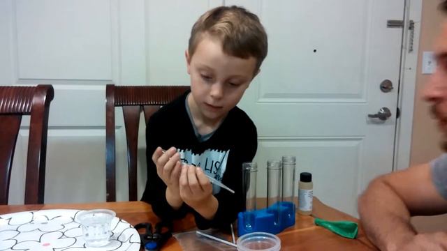 Детские интересы... Для детей....эксперименты... смотреть онлайн