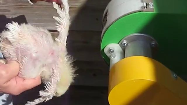 сухой ощип птицы смотреть онлайн