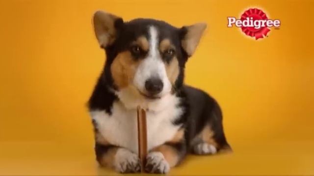 Pedigree Dentastix RUS смотреть онлайн