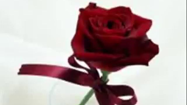 Shuhrat Hakimov-armonim смотреть онлайн