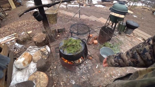 СЕЛИ НА ТРАКТОР и РВАНУЛИ В ТАЙГУ!!! ВЫСТАВИЛ КАПКАНЫ НА СОБОЛЯ. смотреть онлайн